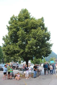 POD LIPO NA PREDVEČER DNEVA DRŽAVNOSTI 12